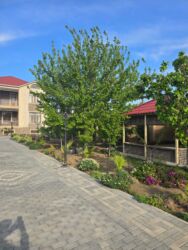 Bağ evlərinin satışı: Digah, 370 kv. m, 6 otaqlı, Hovuzlu, Kombi, Qaz, İşıq — 19