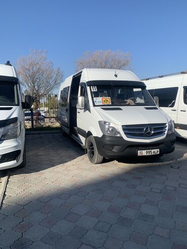 бус каратыш: Mercedes-Benz Sprinter: 2009 г., 2.7 л, Дизель, Бус