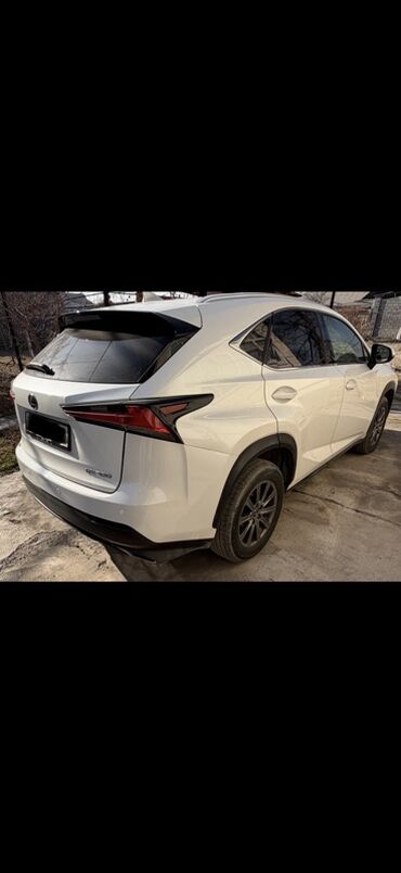 Lexus: Lexus NX: 2019 г., 2 л, Автомат, Бензин, Кроссовер — 2