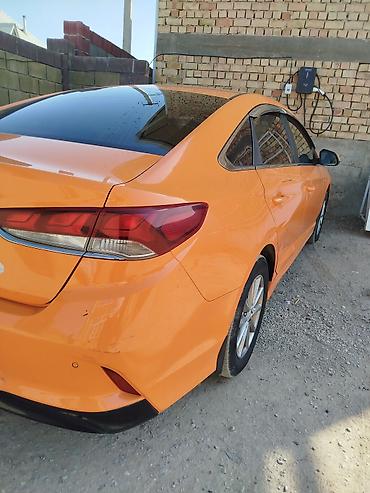x5 2007: Hyundai Sonata: 2019 г., 2 л, Автомат, Газ, Седан — 4