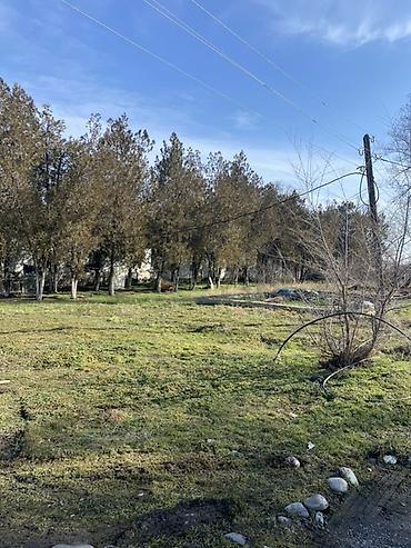 Аренда складов и мастерских: Просторная ограждённая территория под — 14