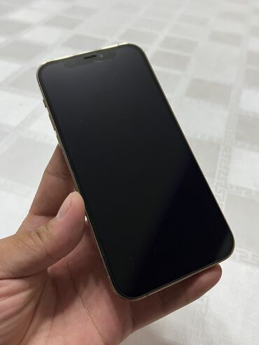 редуктор давления воды бишкек: IPhone 12 Pro, Колдонулган, 256 ГБ, Matte Gold, Заряддоочу түзүлүш, Коргоочу айнек, Каптама, 85 %