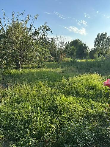 елисейское поле: Продаю дом село Ленинское Улица северная дом 12 5 комнатный санузел — 5