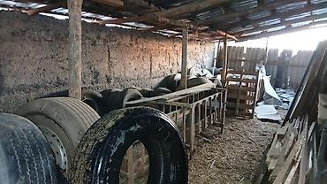 Прицепы и полуприцепы: Прицеп, Б/у — 28
