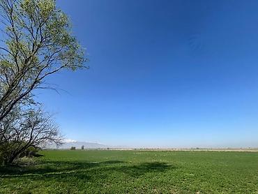 Продажа участков: 30 соток, Для сельского хозяйства, Красная книга, Тех паспорт at lalafo.kg — 11 Продажа участков: 30 соток, Для сельского хозяйства, Красная книга, Тех паспорт — 11