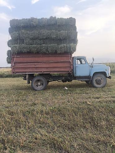 man tgm: Продаю ГАЗ 53 — 2