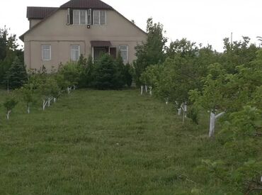 дом сокулук: Үй, 114 кв. м, 4 бөлмө, Риелтор, Евро оңдоо