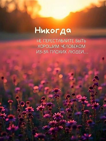 пр чуй: Квартира Уй времянка издейбиз чон семья торт бала менен карап жашаган — 2