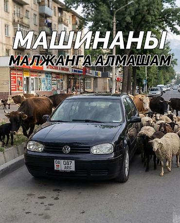 Volkswagen: Volkswagen Golf: 2001 г., 1.6 л, Автомат, Бензин, Хэтчбэк — 2