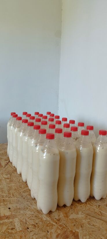 Молочные продукты и яйца: Нукра Даам. Накталай кымыз Бишкекте! Буйрутма алабыз жеткируу шаар ичи