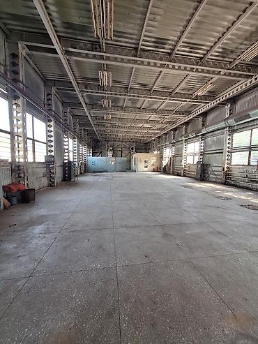 Продажа зданий: Ангар, 1000 м² — 4