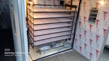 İnkubatorlar: 5000 yumurta, Azərbaycan, Tam avtomat, Bütün növ quşlaq üçün, Zəmanət ilə — 13