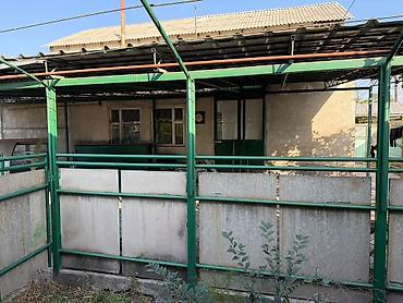купить виноград изабелла: Металлокаркасный навес/терасса с виноградной перголой - Габариты — 3