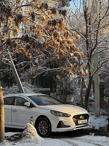 ващ 2109: Hyundai Sonata: 2020 г., 2 л, Автомат, Газ, Седан — 5