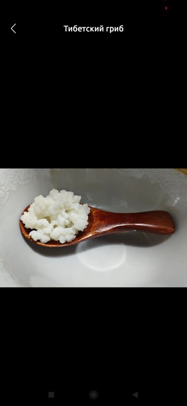 Süd məhsulları və yumurtalar: Kefir mayasi