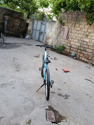 İdman velosipedləri: Torda brendi şəhər/dağ tipli velosiped - Rəng: açıq mavi - Çərçivə — 4