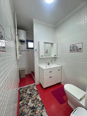 Долгосрочная аренда домов: 250 м², 7 комнат — 11