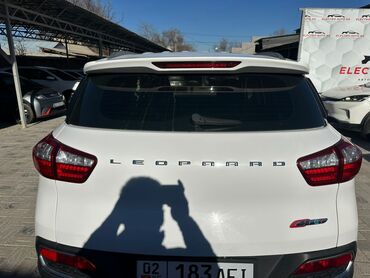 BYD: BYD : 2019 г., 10 л, Автомат, Электромобиль, Кроссовер — 5