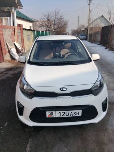 авто в аренду с выкупом бишкек: Kia Morning: 2019 г., 0.9 л, Автомат, Бензин, Хэтчбэк
