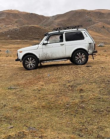 ВАЗ (ЛАДА): ВАЗ (ЛАДА) 2121 (4x4): 2004 г., 1.7 л, Кол менен иштөөчү, Бензин, Жол тандабас — 3