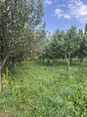 Продажа домов: Дом, 500 м², 6 комнат, Собственник, ПСО (под самоотделку) — 19