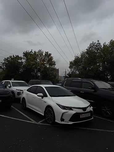 оптика 124: Toyota Corolla: 2023 г., 1.8 л, Вариатор, Гибрид, Седан — 1