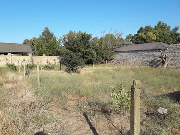 Torpaq sahələrinin satışı: 19 sot, Kupça (Çıxarış), Texniki pasport -da lalafo.az — 5 Torpaq sahələrinin satışı: 19 sot, Kupça (Çıxarış), Texniki pasport — 5