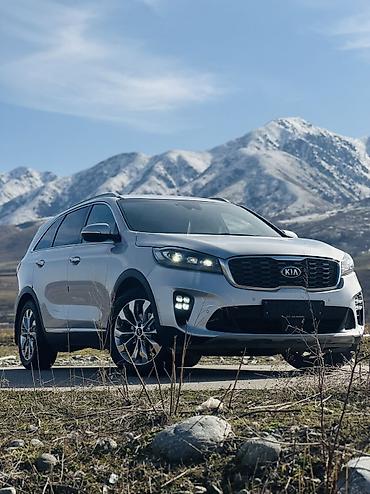 Kia: Kia Sorento: 2019 г., 2.2 л, Автомат, Дизель, Кроссовер — 20