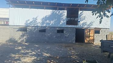 Продажа сельхоз предприятий: Сарай/коровник для КРС - Размер: 13,6 м (длина). - Вместимость — 2
