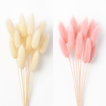 Другой декор и предметы интерьера: Сухоцвет лагурус (заячий хвостик) Нежный декоративный сухоцвет