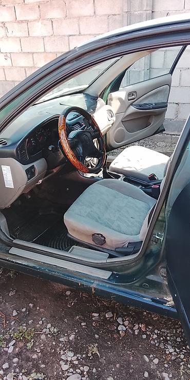 ion машина: Nissan Almera: 2001 г., Механика, Седан — 3