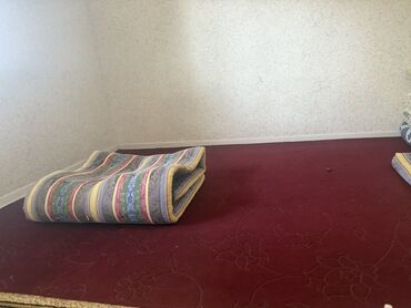 раздвижной кровать: 2 складной матрасы Ковер под ним 2х3 И плита 3500 w Все вместе 3000