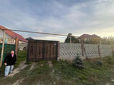 5 соток