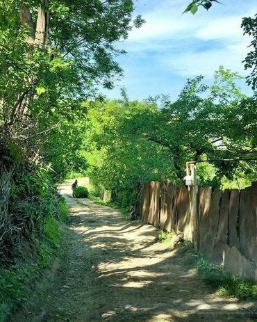 sud sagan: 22 sot, Biznes üçün, Maklerlər narahat etməsin, Kupça (Çıxarış)