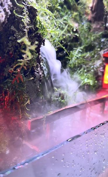 Akvarium aksesuar və ləvazimatları: Terrarium/Vivarium dekorativ sistem – duman generatoru və LED — 5