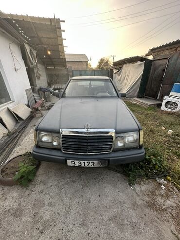 дом в колесах: Mercedes-Benz W124: 1987 г., 3 л, Автомат, Дизель