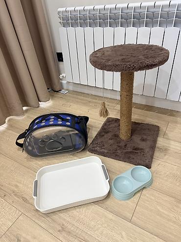 Зоотовары: Набор для кошки/котёнка(б/у) В комплект входит: - Когтеточка-столб с — 1