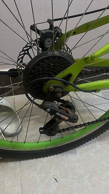 velosiped 28: Unvan bail jurnalistler binasi islek vezyetdedi — 3