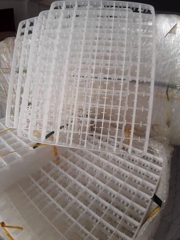 İnkubatorlar: Latoq 88 ədədlik 
ölçü 50/36 toyuq üçün — 8