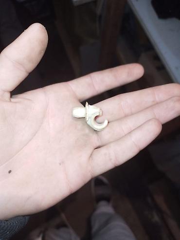 xamut: Plastik kabel tutacağı/klipsi - Material: möhkəm ağ plastik - — 6