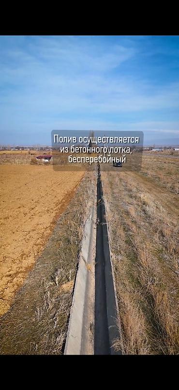 поливное земля: 319 соток, Для сельского хозяйства — 6