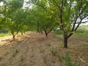 цены на строительные работы в бишкеке 2022: Ушул орук бак отун кылып кесип кеткенге сатылат. Адрес: Кадамжай