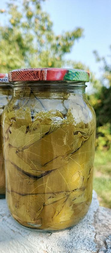 alma sirkesi qiymeti: Ev şəraitində duzlu üzümdən yarpaq – bankalarda - Məhsul: Dolma üçün — 2