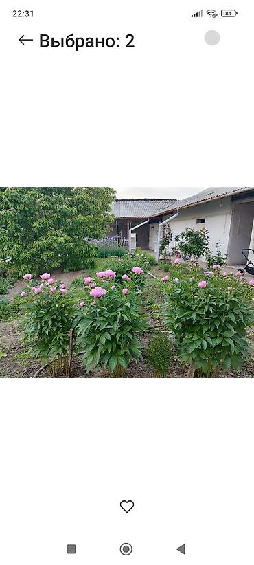 Продажа коттеджей и домов: 5 комнат, 144 м², 9 соток, Ош, Собственник — 20