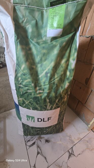 Daihatsu: DLF – Amenity Festuca Mix qazon toxumu Məhsul haqqında: - Brend: DLF