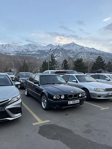 BMW 5 series: 1994 г., 2.5 л, Механика, Бензин, Седан