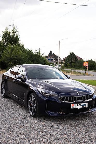 киа стрингер: Kia Stinger: 2019 г., 2 л, Автомат, Бензин, Лифтбек — 1