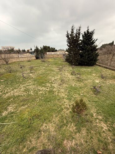 Torpaq sahələrinin satışı: 12 sot, Mülkiyyətçi, Kupça (Çıxarış)