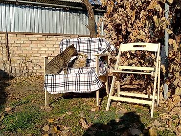 Свадебные аксессуары: Мешок для пылесоса karcher оптом и в розницу большие и маленькие — 1