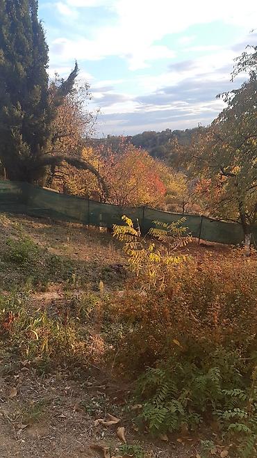 kuce na prodaju kovin: Građevinsko zemljište 1.078 m2 – Sovljak, 2 km od Velike Remete (3 km — 7